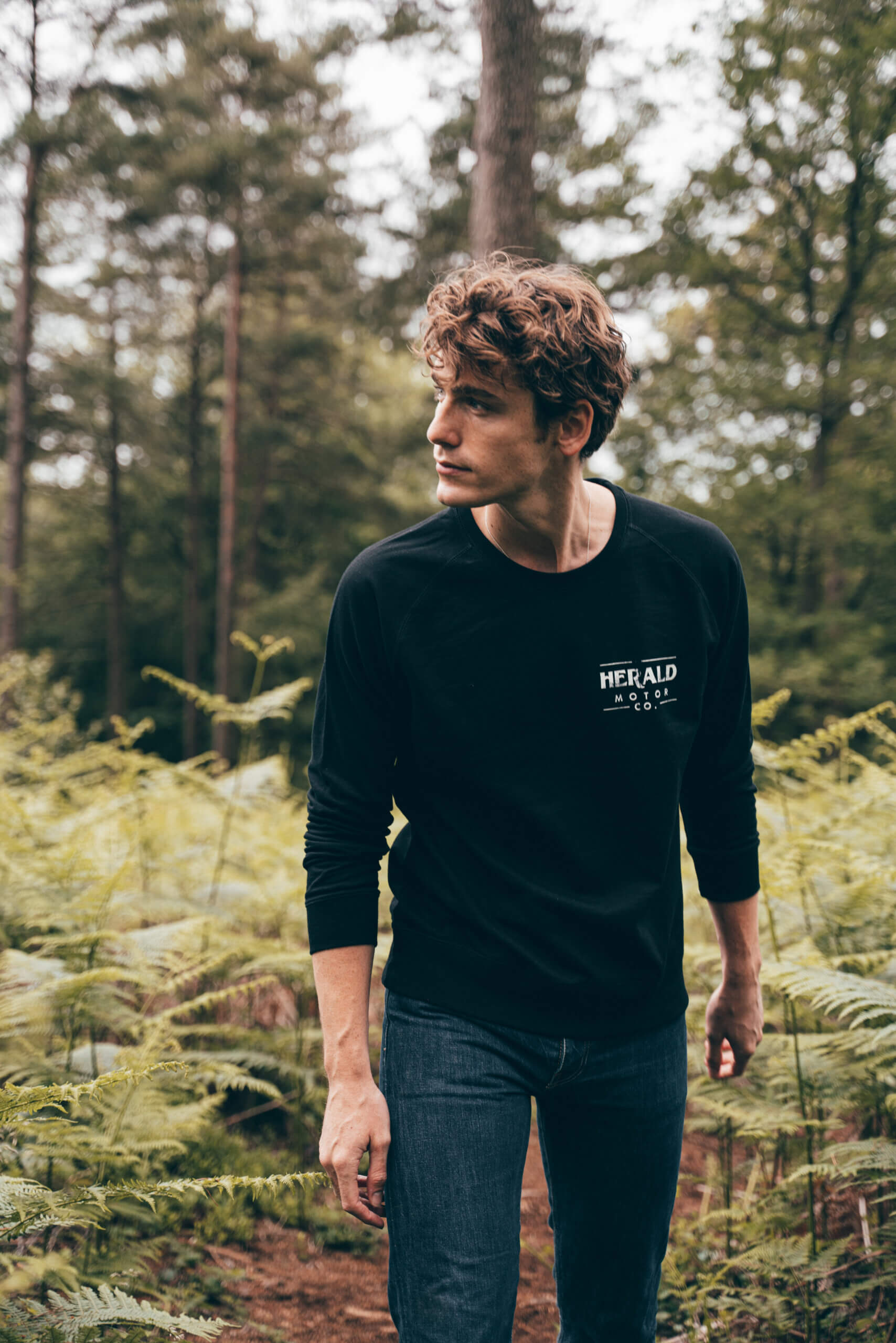 Herald Brand Logo Sweat - Black - Image 2