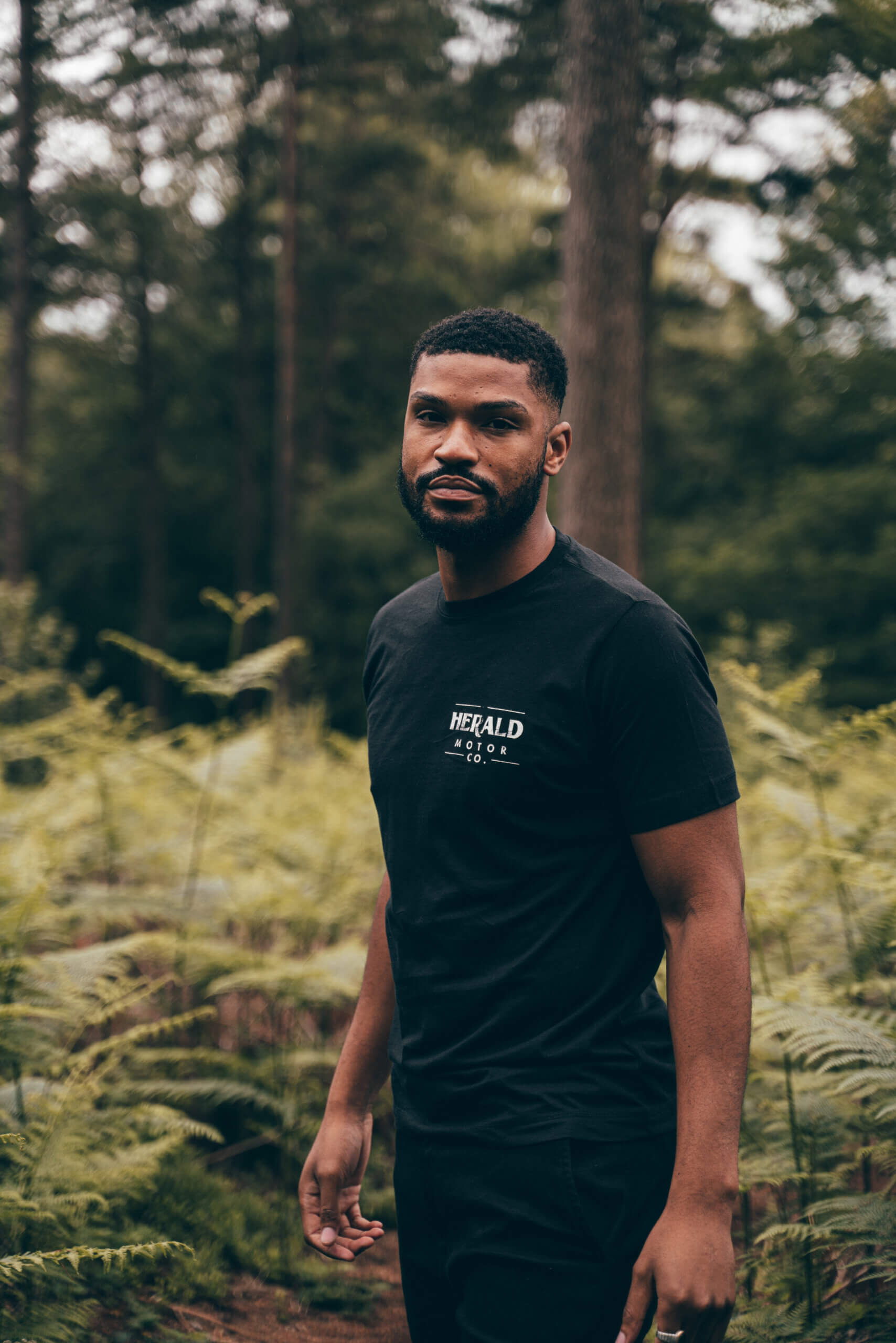 Herald Brand Logo Tee - Black - Image 2